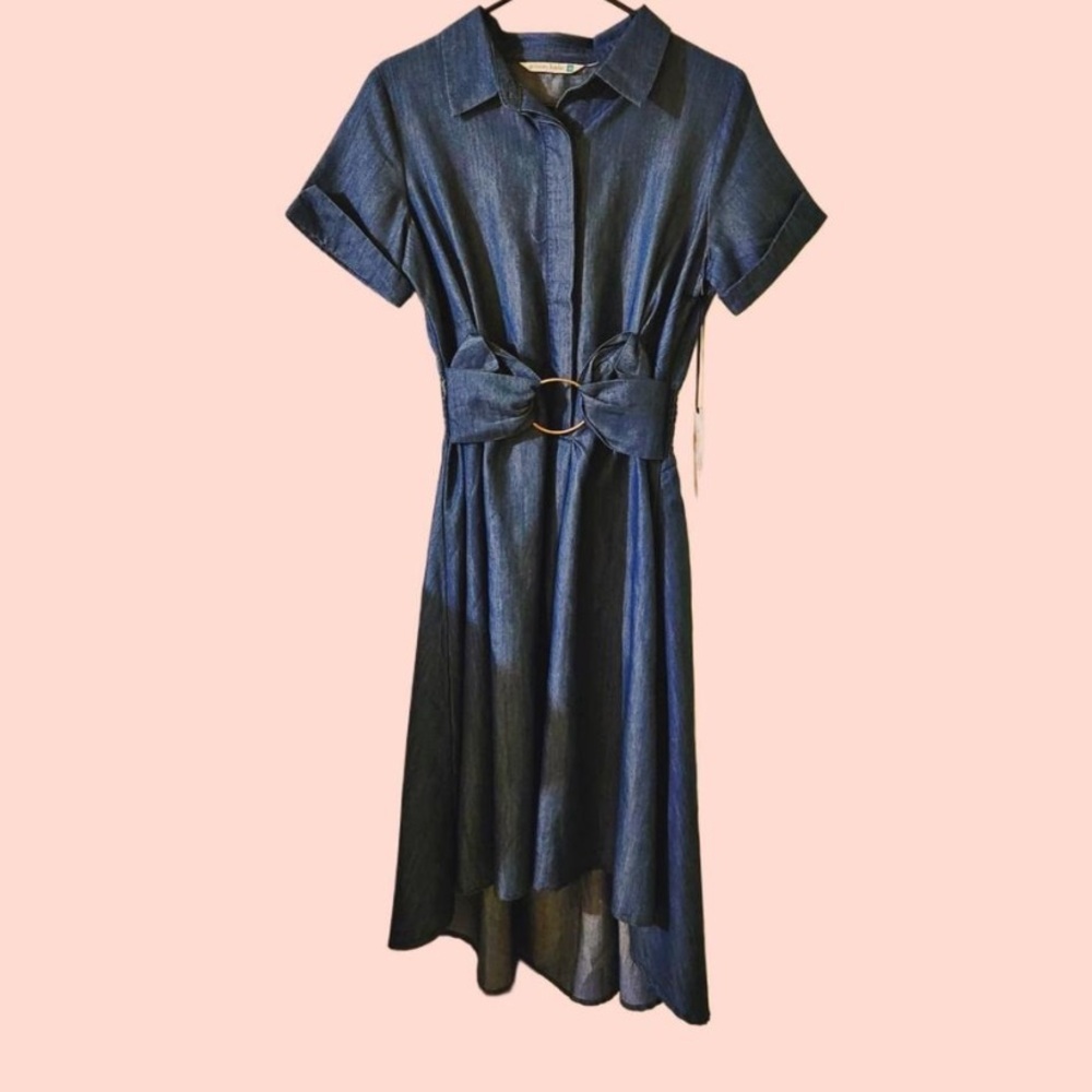 Given Kale Medium Denim Shirt Dress with a High-Low Hem